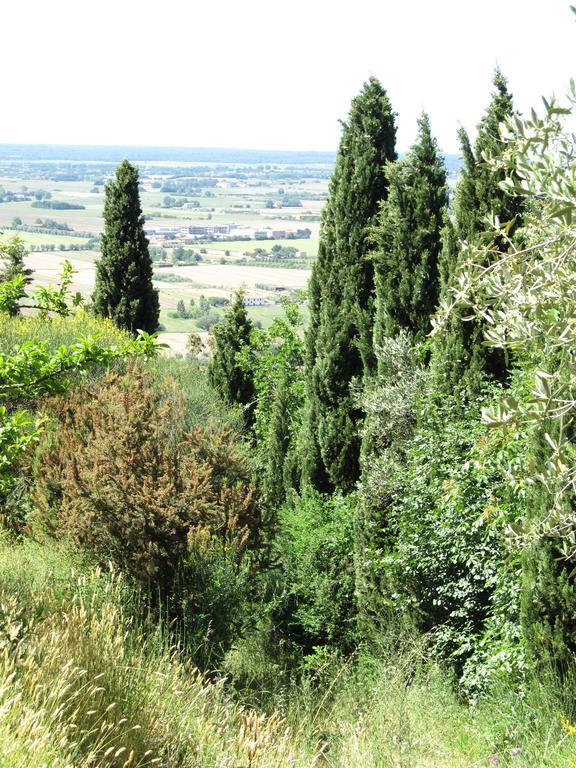Agriturismo La Grotta سان جوليانو تيرمي المظهر الخارجي الصورة